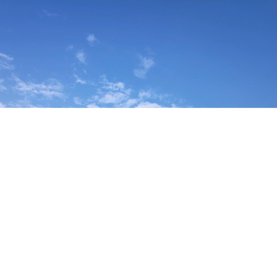 挚君