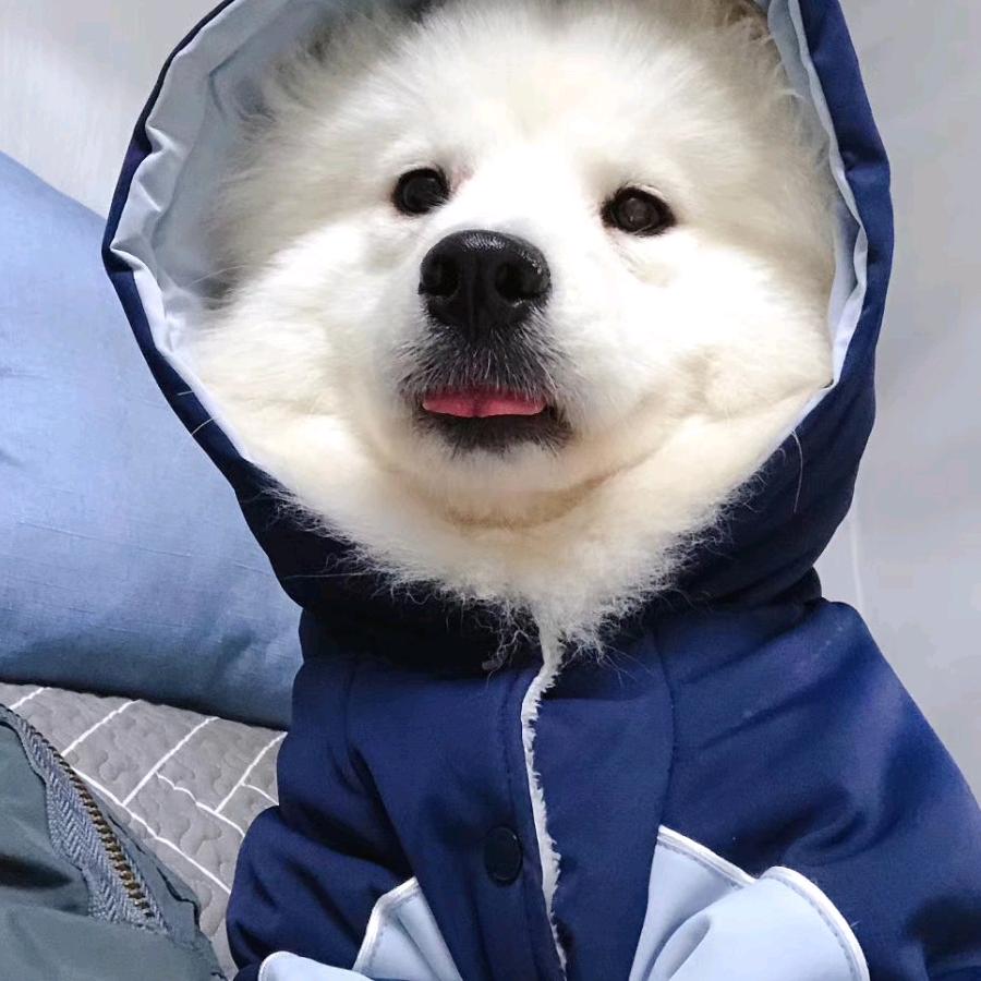 月亮说它忘记了