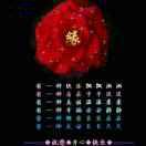 福姐