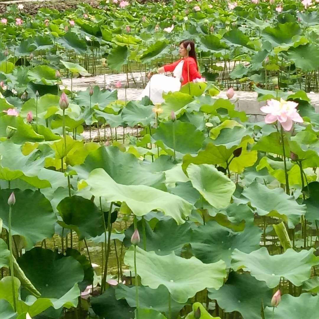 存在