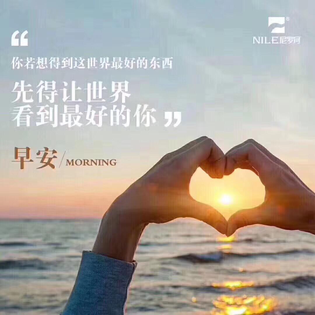 董不懂