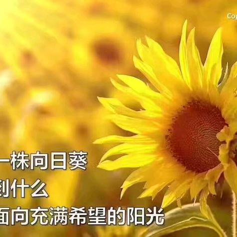 安然🍃