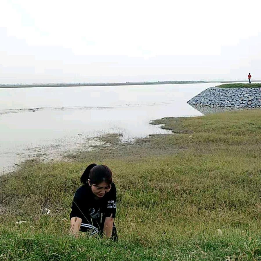 星河四季《拒绝连赞》