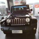 果树，风景树批发