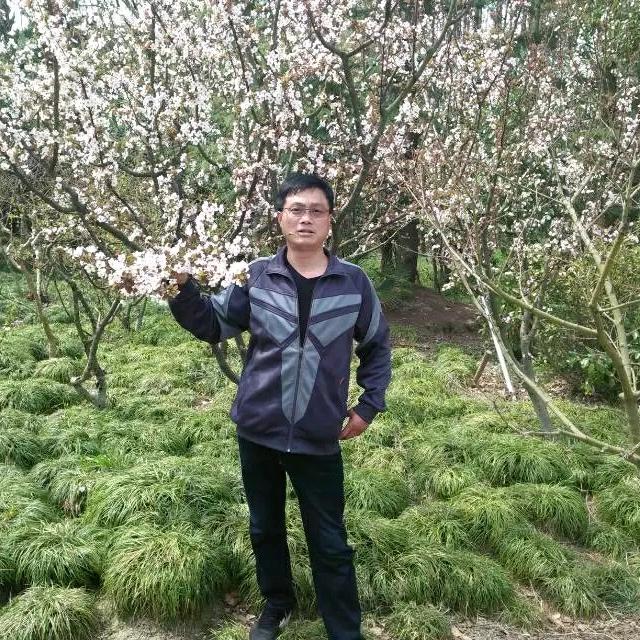 ccy