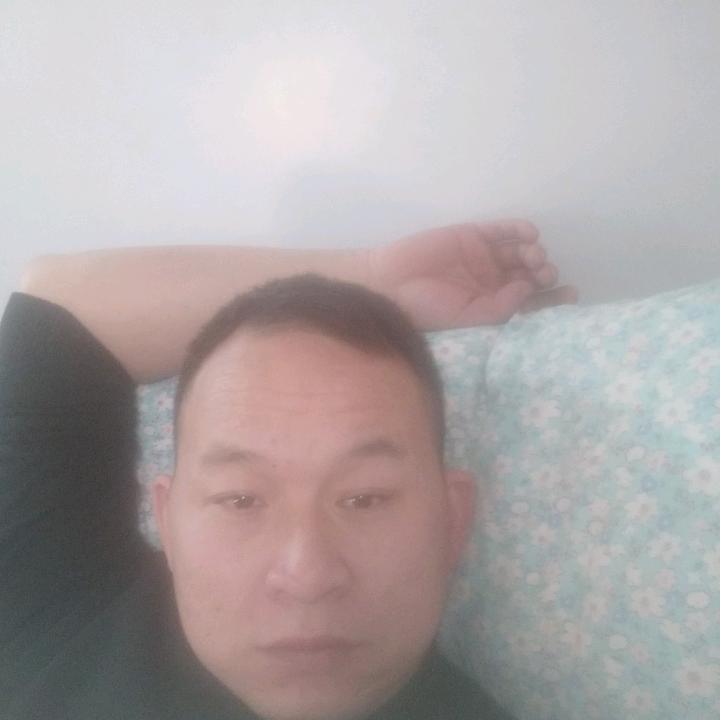 张英波