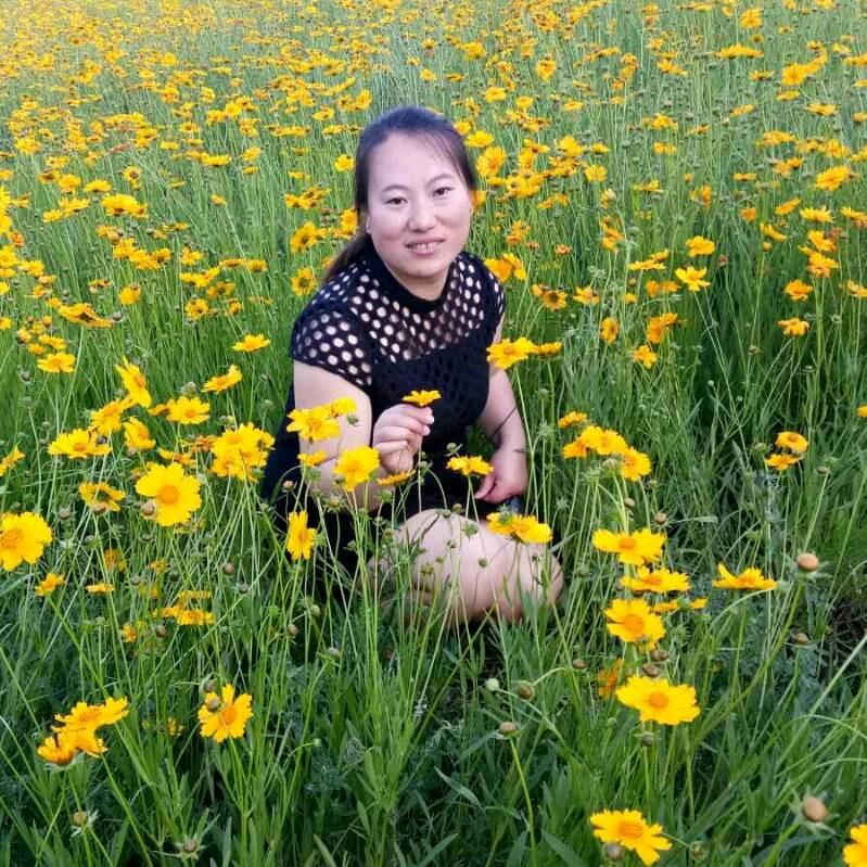美