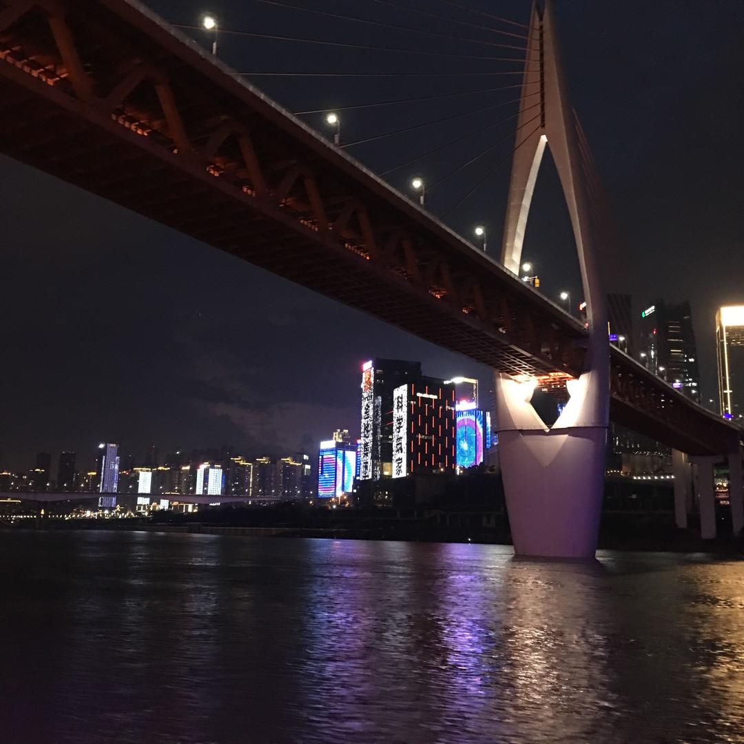 沈大小姐