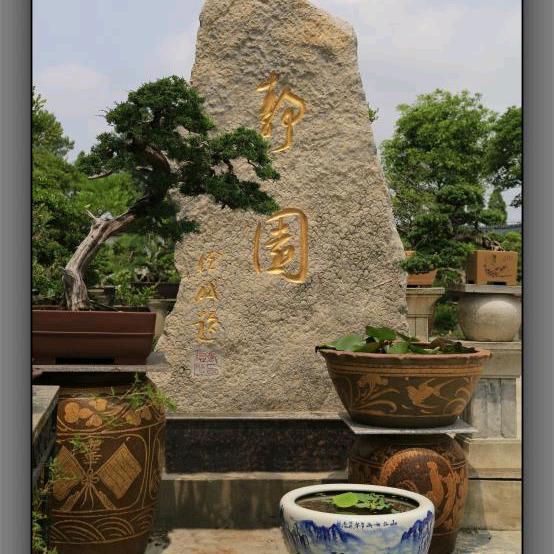 静园主人（庭院景观）
