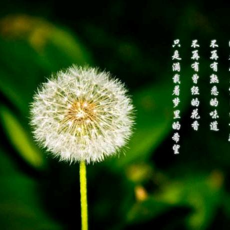 风（久和果业）