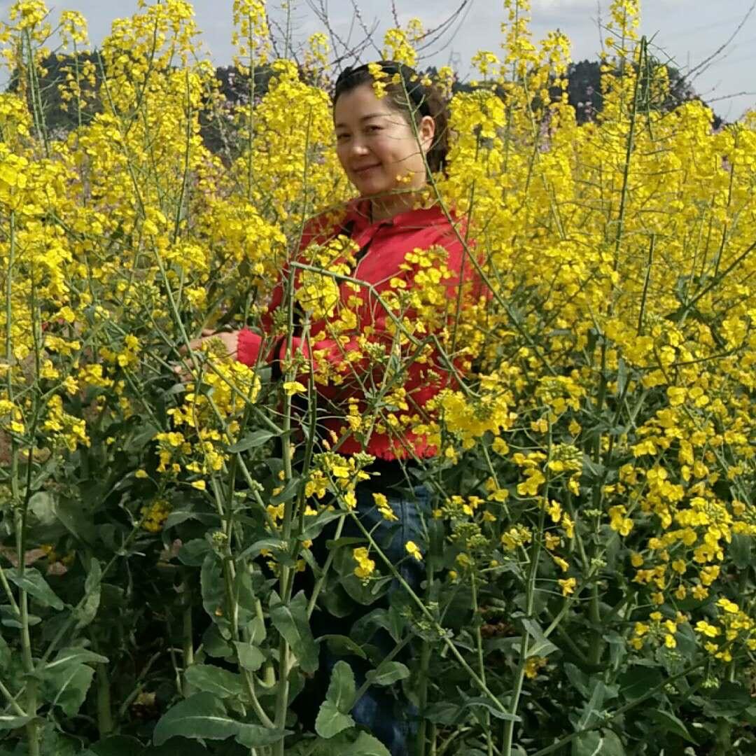练国琼