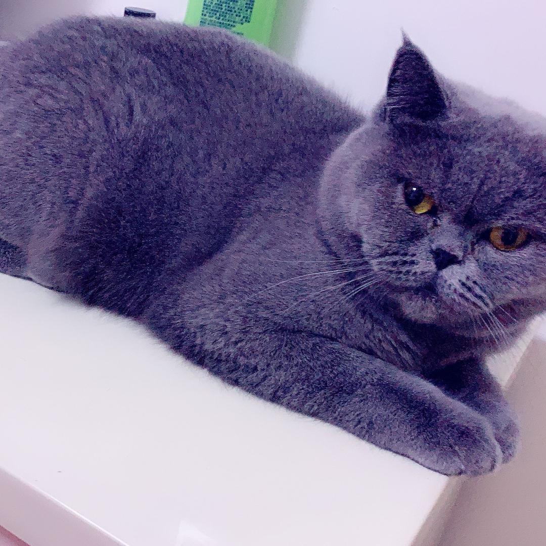℡丶学会只对她微笑 ❤️