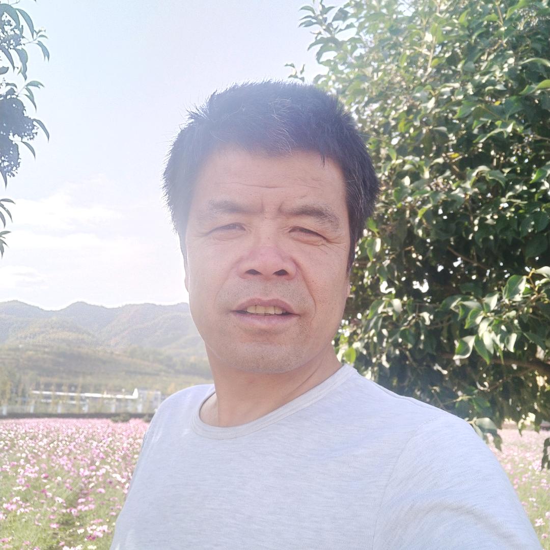 大侠一游