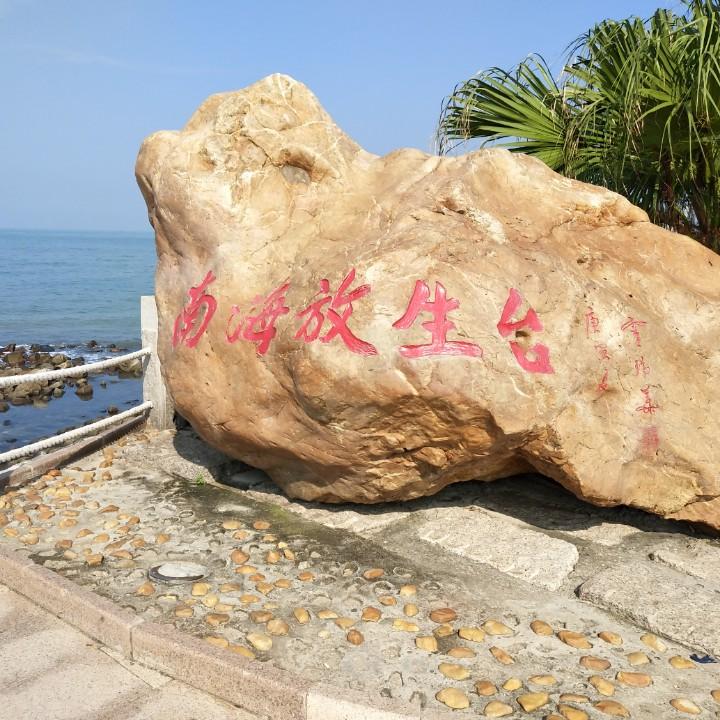 放过自己