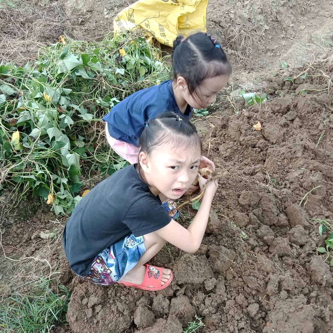富雅豪家居装饰