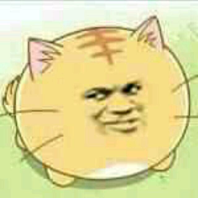 帅脸喵