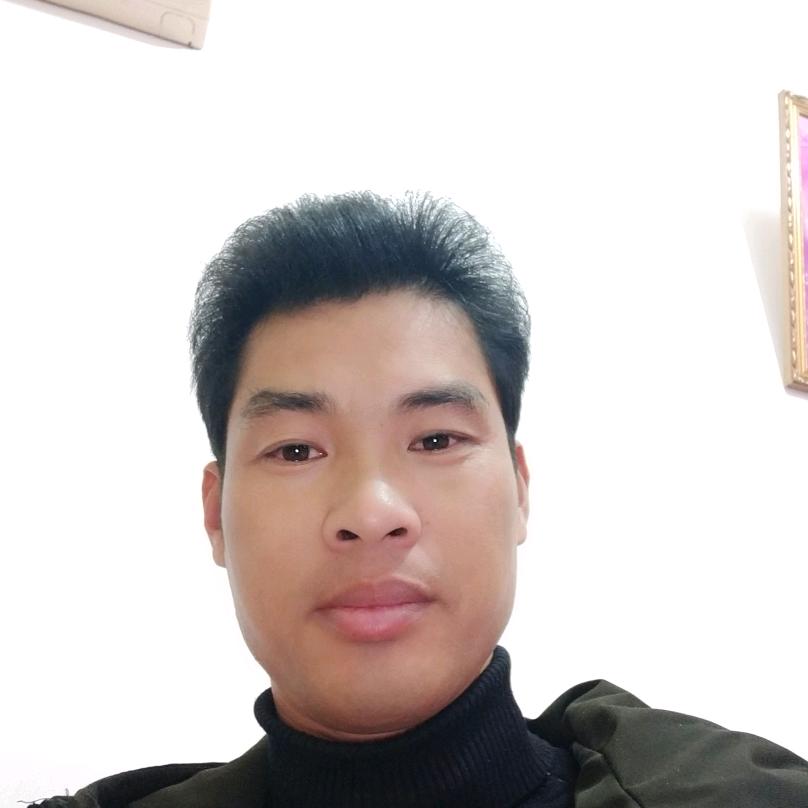 自由飞翔