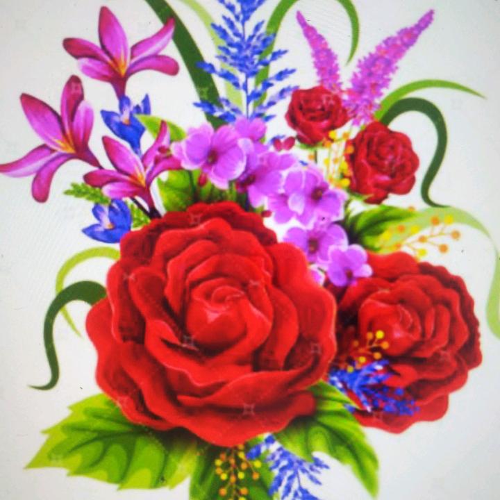 漂扬过海来看您