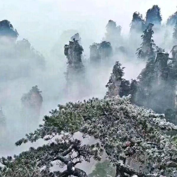 梦如人生
