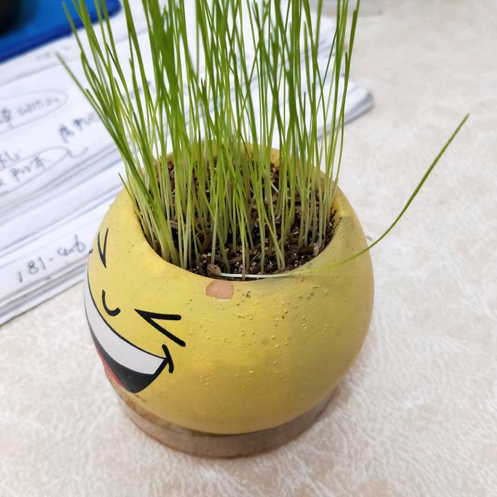 上一页回忆