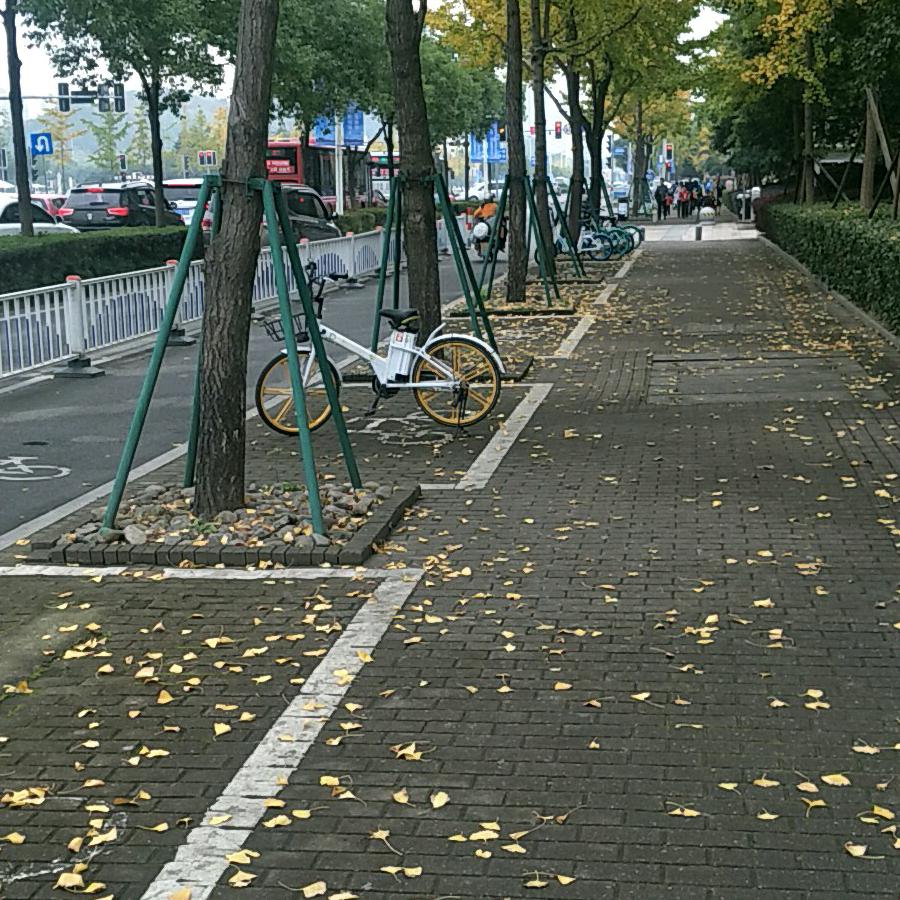 吉利～杨～巅 ~峰