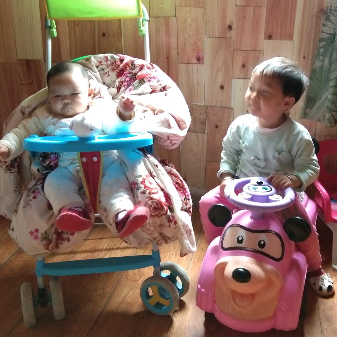 来之不易的东西是宝留