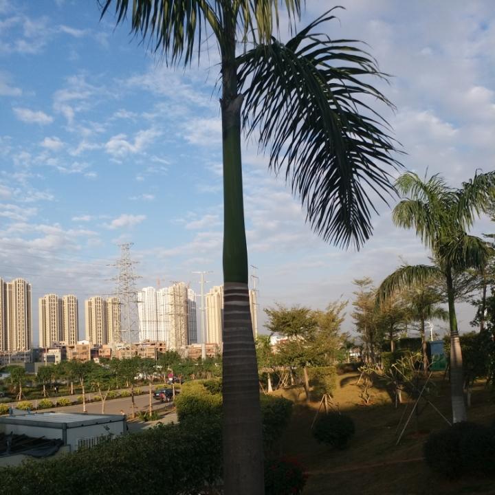 এ᭄凌寒ꦿృ༊