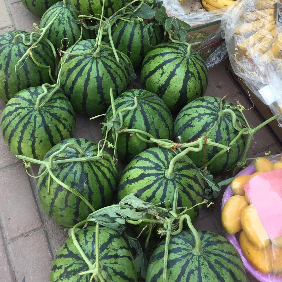 紫禁城