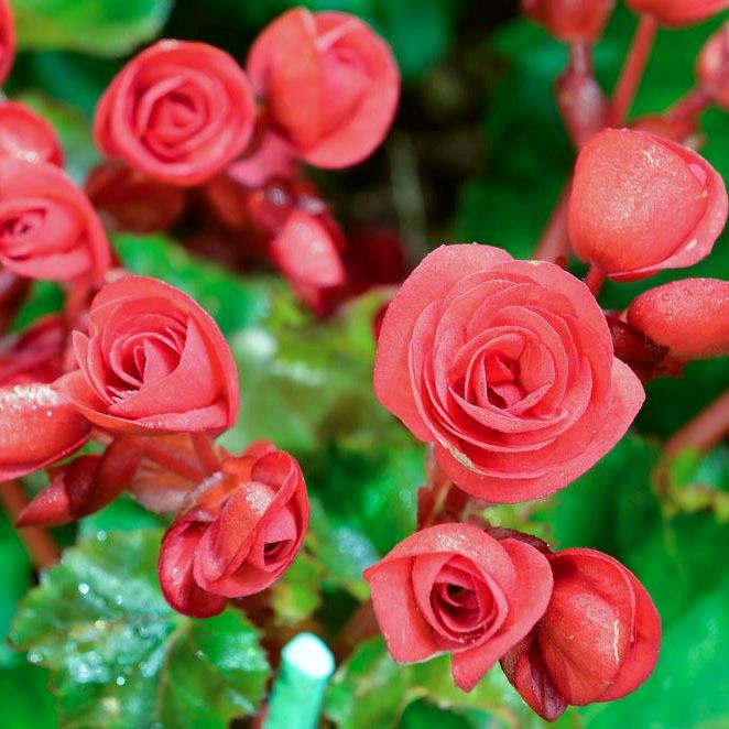 ꧔ꦿ᭄缘来是你꧔ꦿ᭄