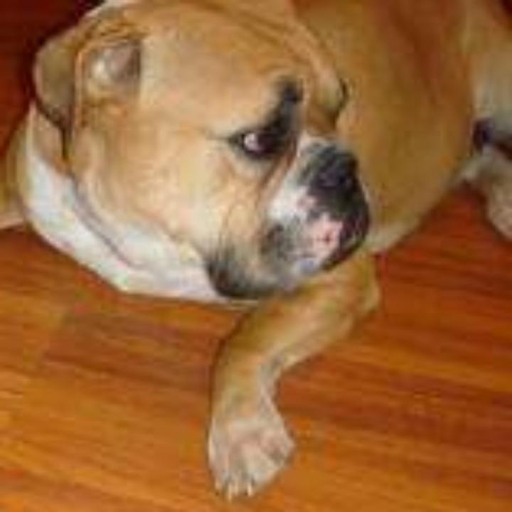 恋萌宠物水族馆