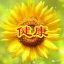 天天开心