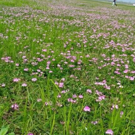 用户6376687768913梦想