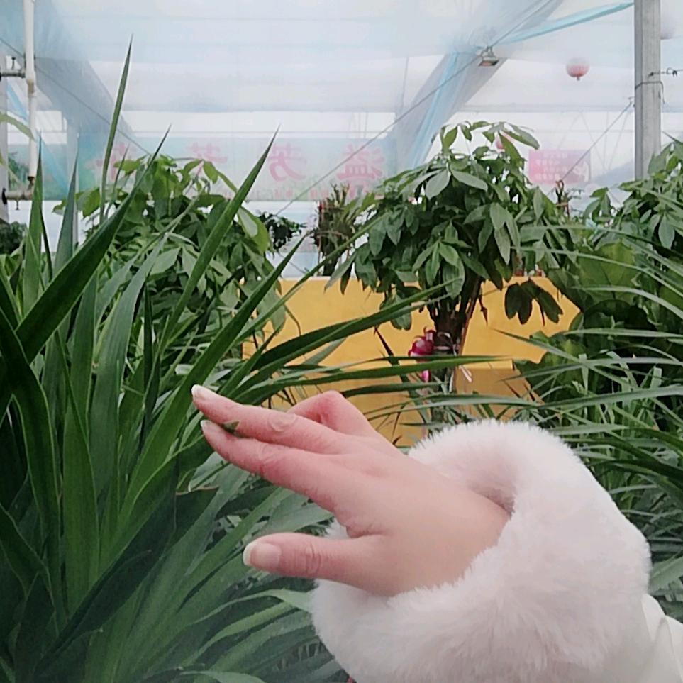 心心相印
