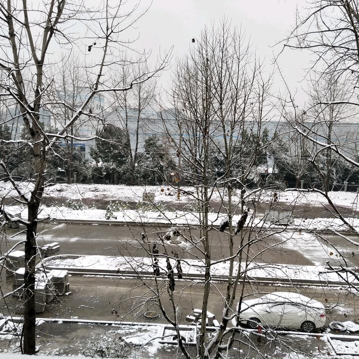 半边心