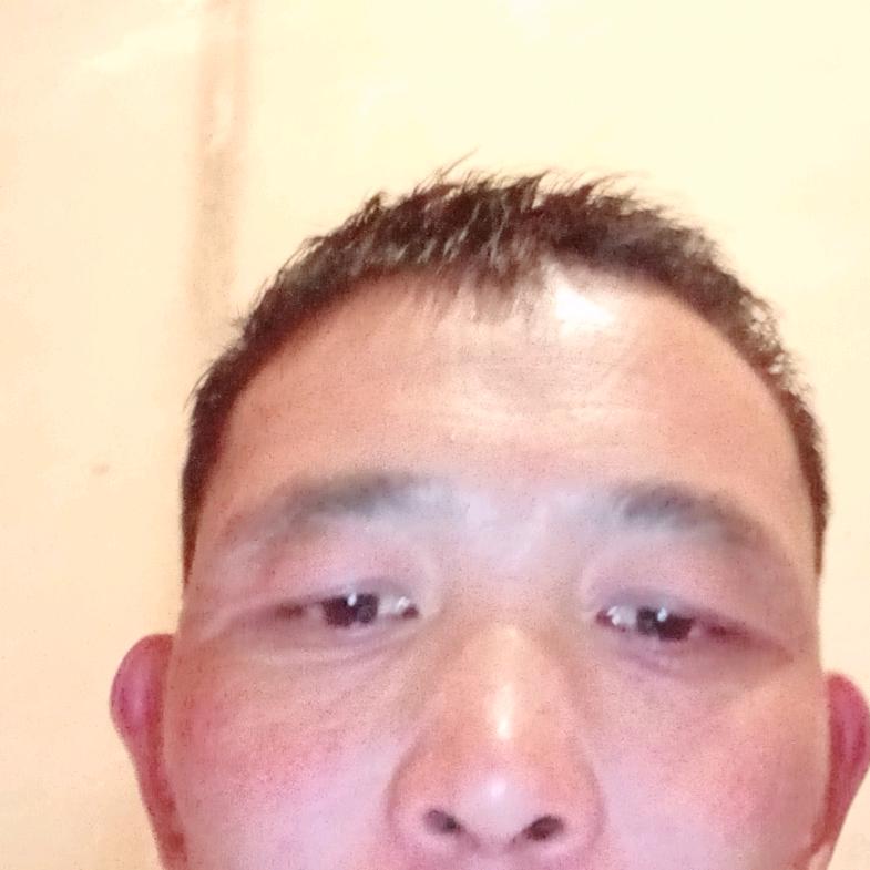 辛勤的养牛人