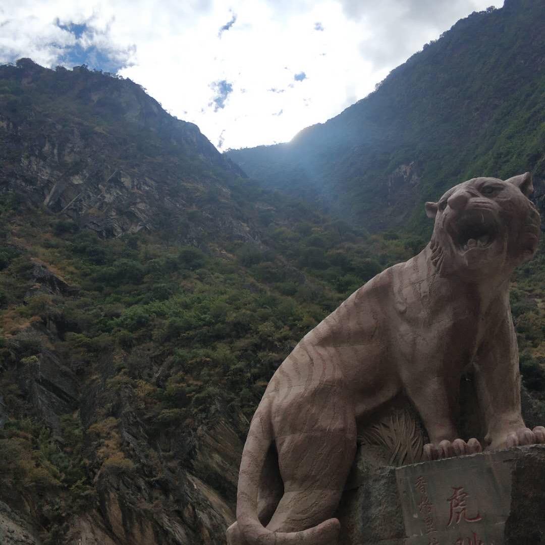 随风挥手