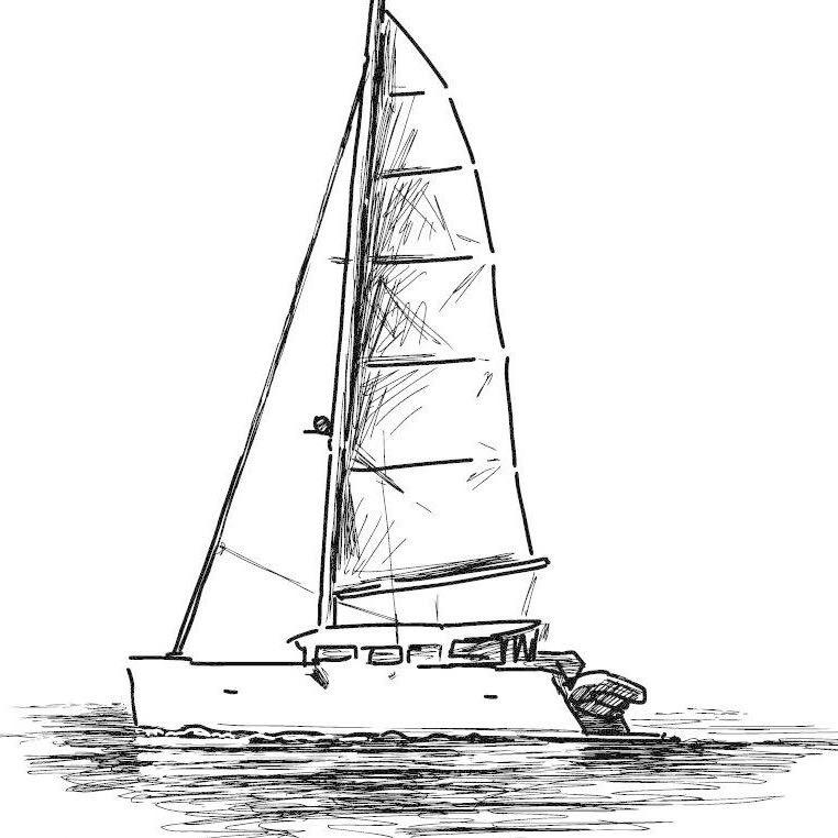 飞鸟