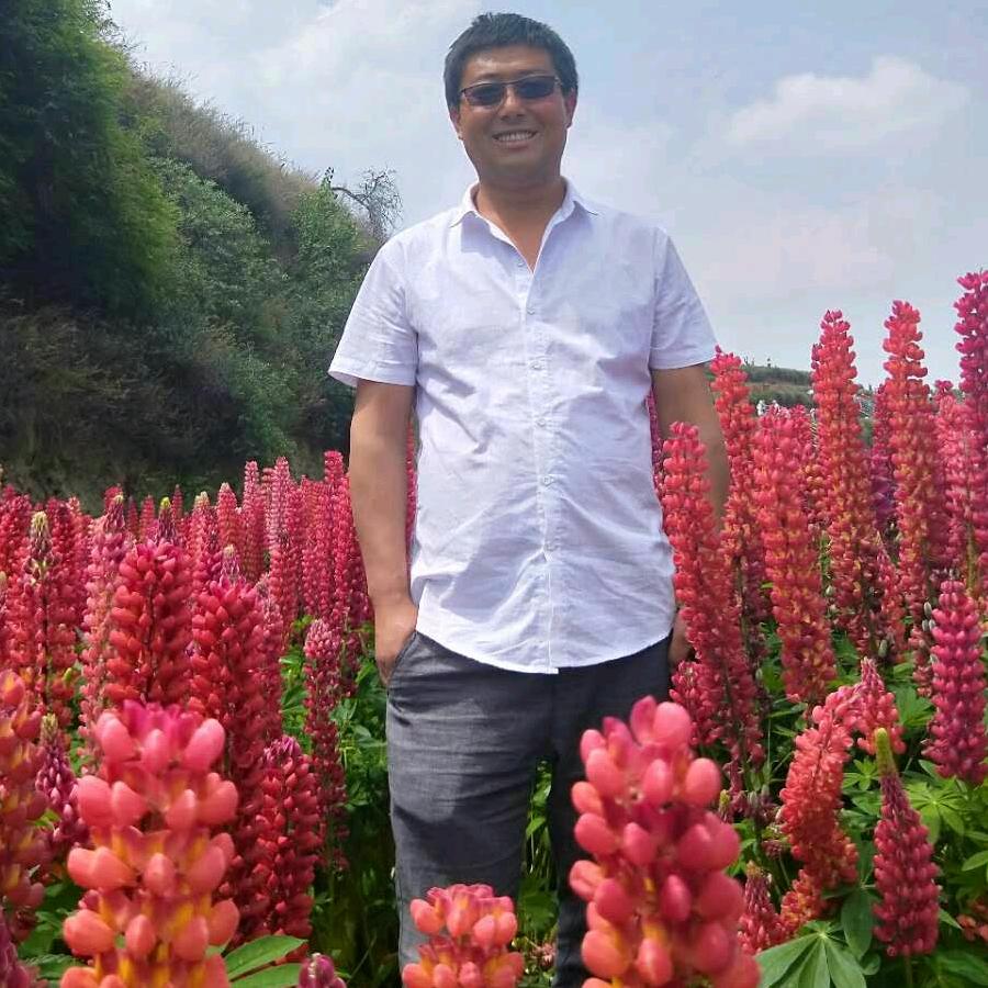 丑也丑的潇洒