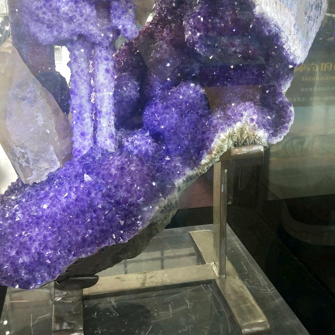魚鲨