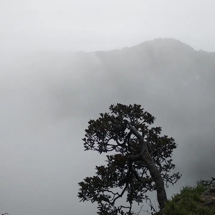 月明星稀