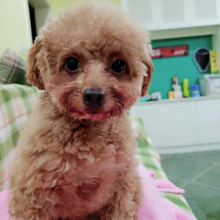 青春、堪比黄花瘦