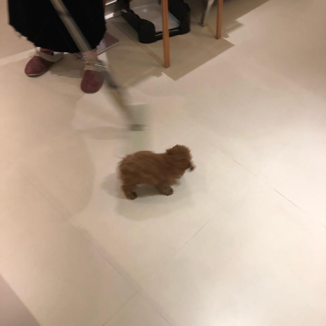 元宝