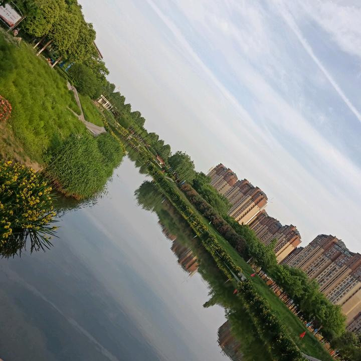 小绵羊