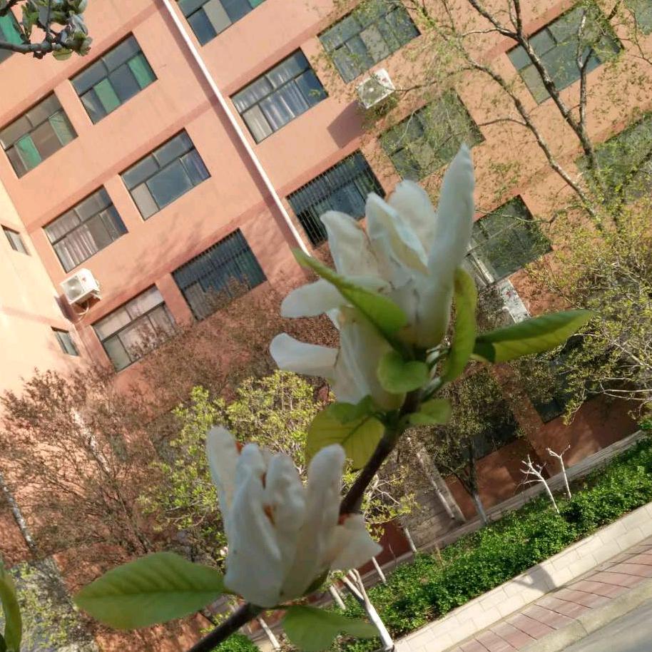 超级马力（晓梅五金）