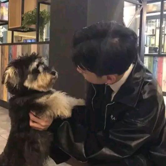 不会骑自行车