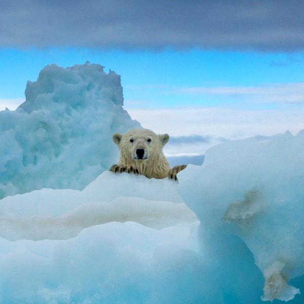 静风随远♪雨飘起