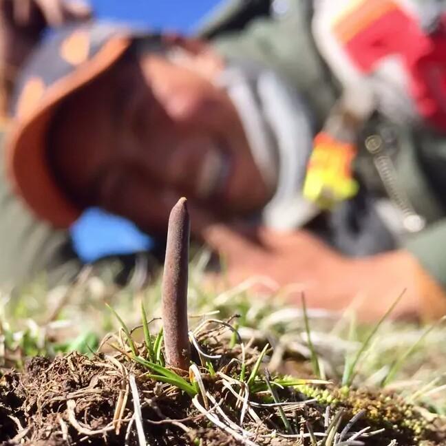 🦎清🐛韵 🐍