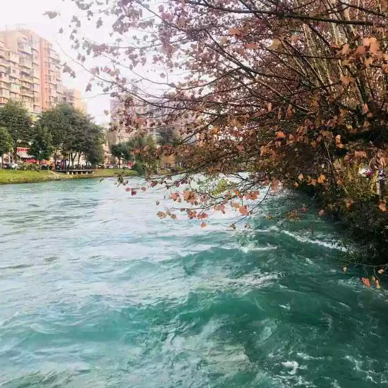 山哥