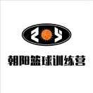 篮球爱好者—朝阳