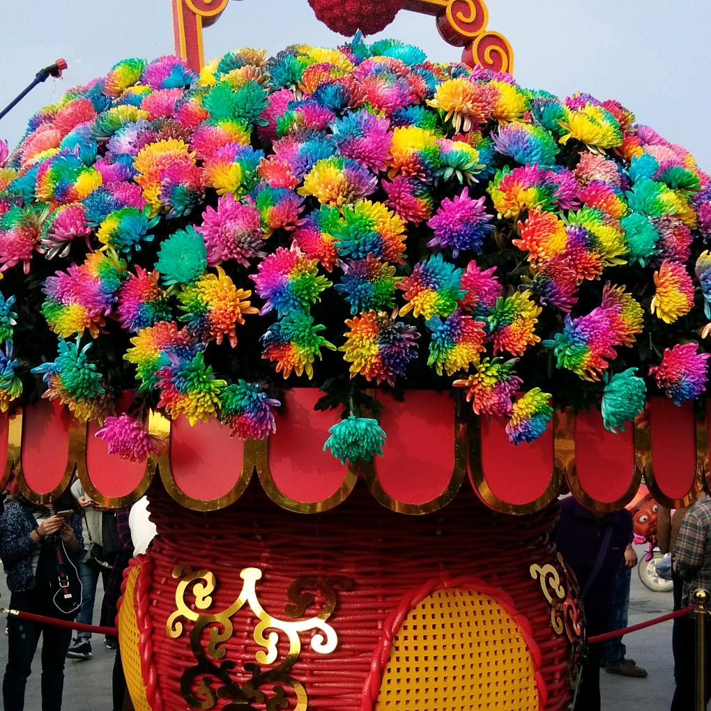 一生有你